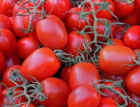 Pomidory Pelati BIO Naturo Ekologiczne Pomidory Pelati BIO Naturo Ekologiczne