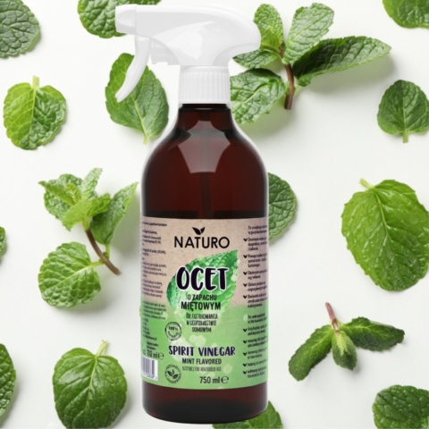 Ocet o Zapachu Miętowym 750 ml / Eco Naturo